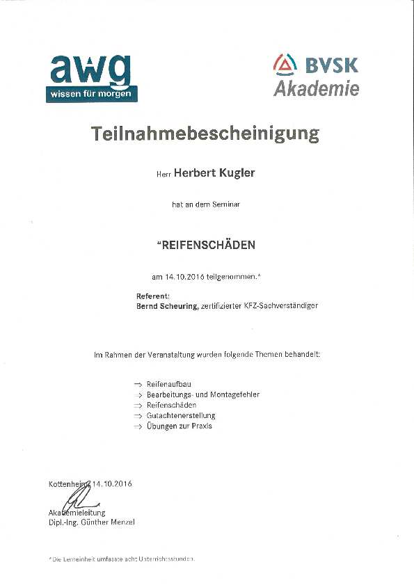 Reifenschäden