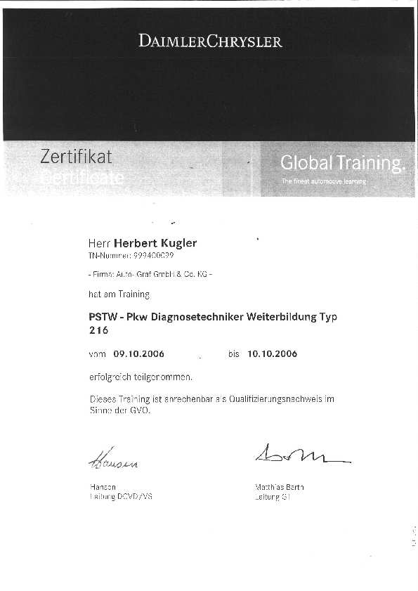 Pkw Diagnosetechniker Weiterbildung Typ (2006)
