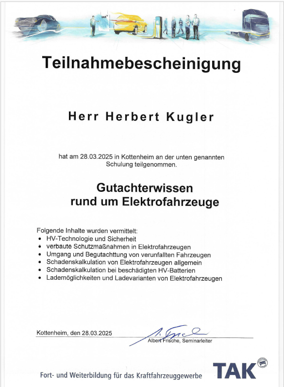 Gutachterwissen rund um Elektrofahrzeuge (2025)